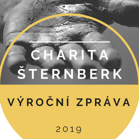Výroční zpráva 2019