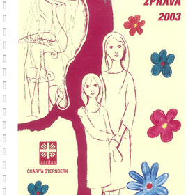 Výroční zpráva 2003