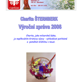 Výroční zpráva 2006 