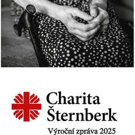 Výroční zpráva 2025